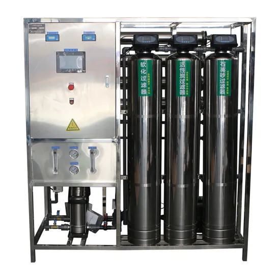  1000L/H Mineral Water Treatment Machine Reverse Osmosis System RO Drinking Water Filter System